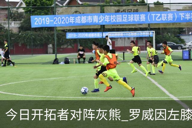 今日开拓者对阵灰熊 罗威因左膝伤病管理将大概率缺战