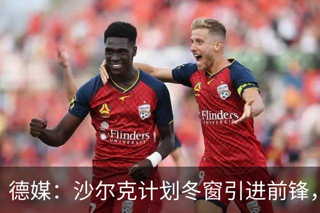 德媒：沙尔克计划冬窗引进前锋，左后卫东科尔可能离队