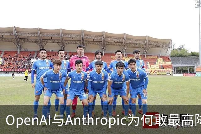 OpenAI与Anthropic为何敢最高降价80%